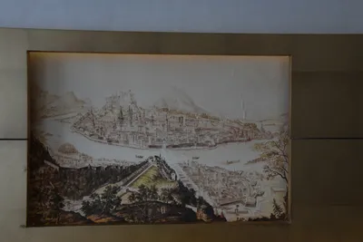 DSC_6220 (Large).JPG